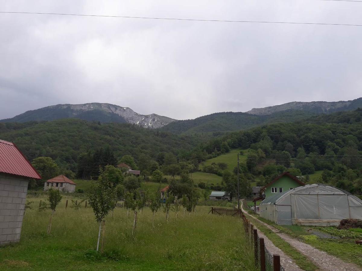 Vuceljic Rooms Andrijevica エクステリア 写真